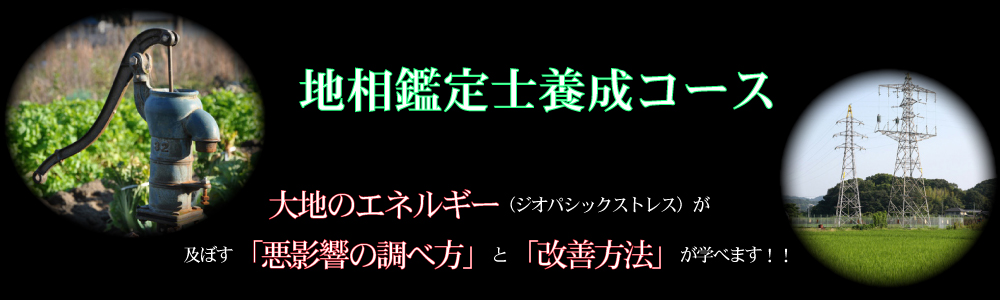 ジオパシックストレス