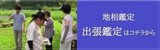 出張鑑定