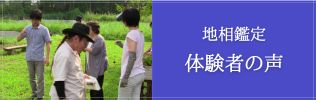 体験者の声