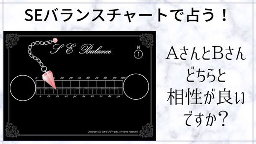 SEバランスチャート