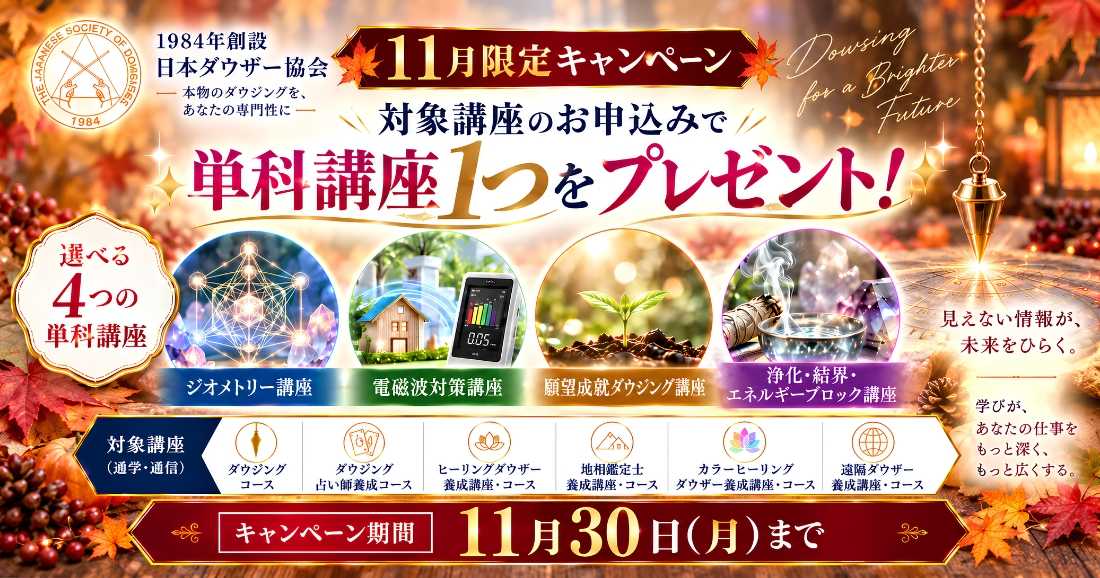 11月のキャンペーン