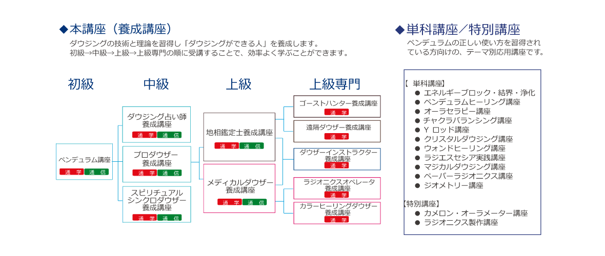 主な講座