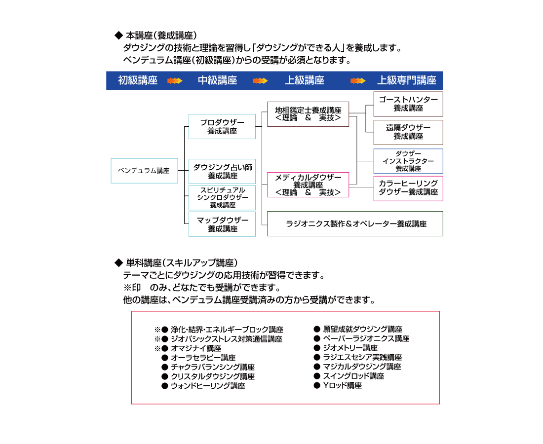 主な講座